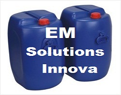 EM Solutions
